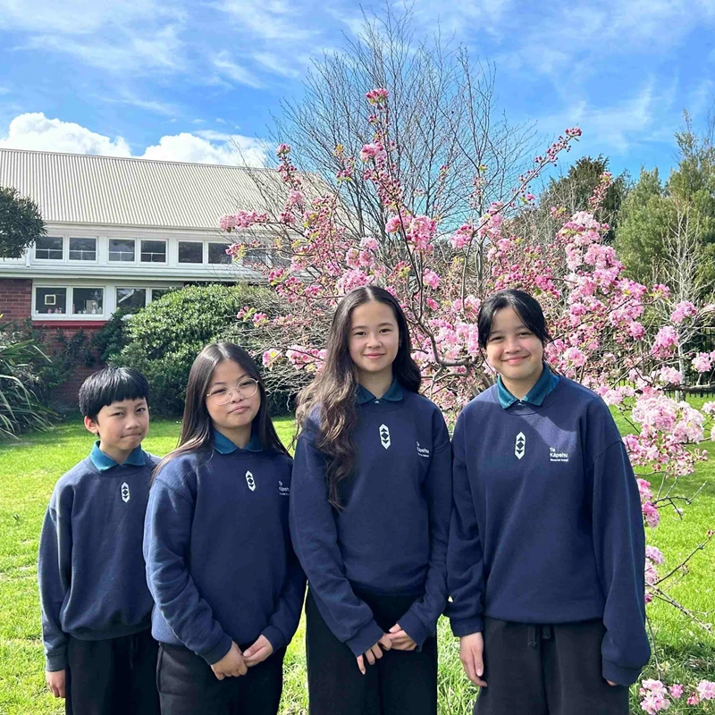 Te Kāpehu Riccarton School
