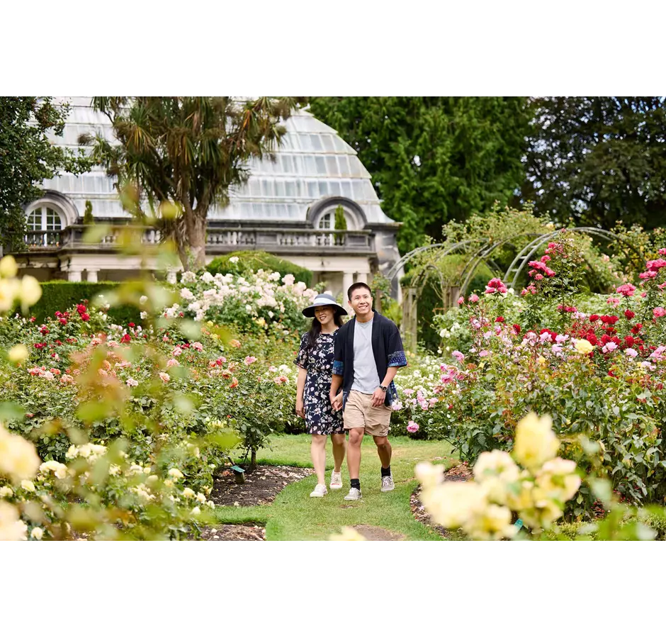 Couple Enjoying The Scenery At The Rose Garden